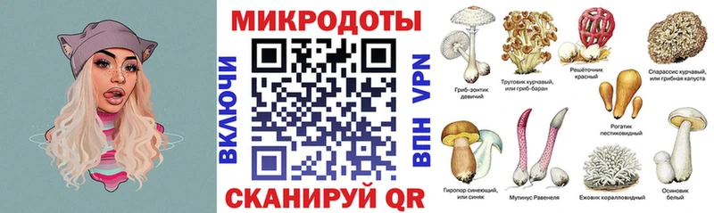 закладки  mega ссылки  Псилоцибиновые грибы Cubensis  Горно-Алтайск 