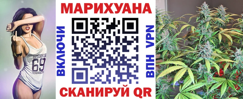 Шишки марихуана марихуана  Горно-Алтайск 
